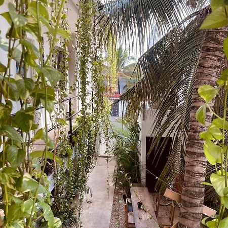 Anana Coliving Hotel Playa del Carmen Ngoại thất bức ảnh