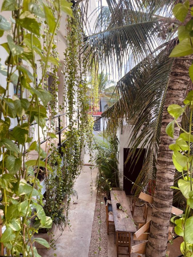 Anana Coliving Hotel Playa del Carmen Ngoại thất bức ảnh