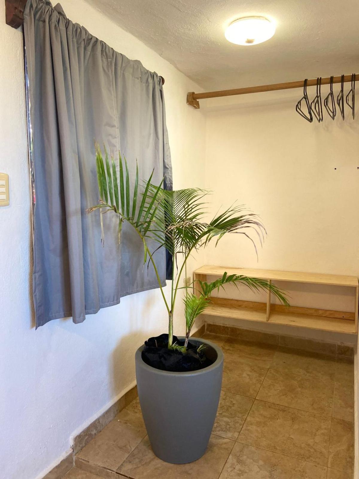 Anana Coliving Hotel Playa del Carmen Ngoại thất bức ảnh