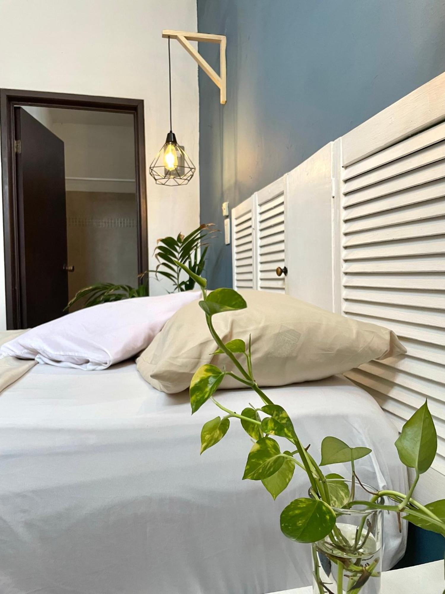 Anana Coliving Hotel Playa del Carmen Ngoại thất bức ảnh